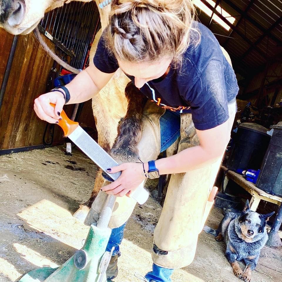 shoeing